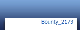 Bounty_2173
