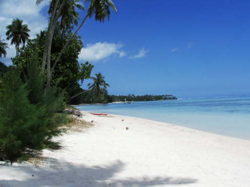 Bounty_2324
